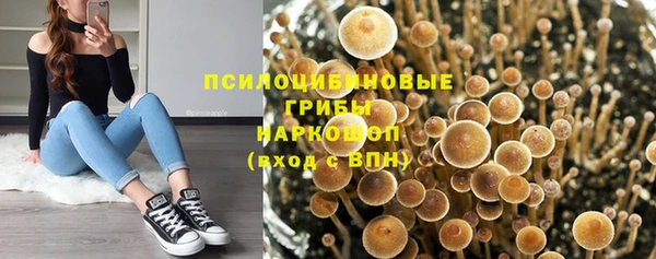 спиды Медногорск