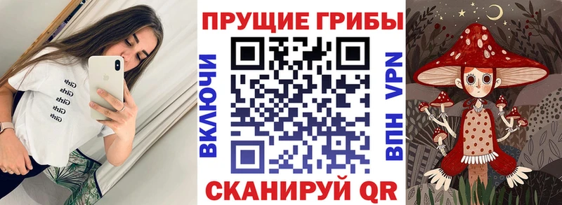 Купить закладки  Алупка  Псилоцибиновые грибы Psilocybe 